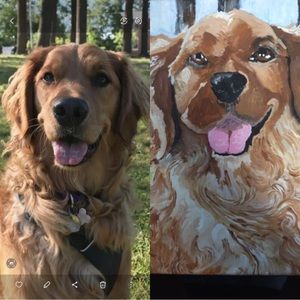 Custom pet portraits